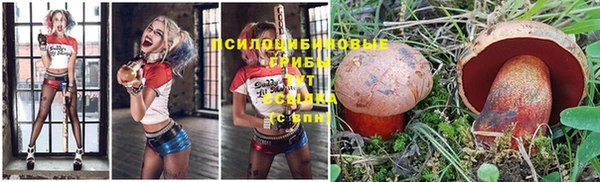 трава Козельск