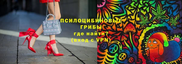 соль курить ск Козловка
