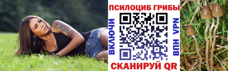 Галлюциногенные грибы Cubensis  Северск 